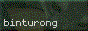 Small site button: "binturong" in light text on a dark green/dithered-pixel photo background.